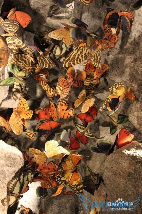 假期旅游之带儿童游览上海科技馆