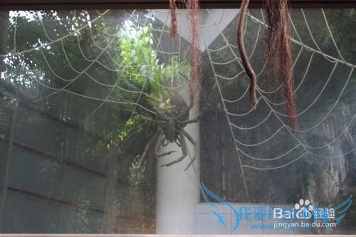 假期旅游之带儿童游览上海科技馆