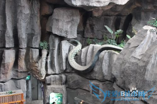 假期旅游之带儿童游览上海科技馆