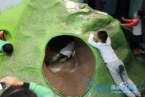 假期旅游之带儿童游览上海科技馆