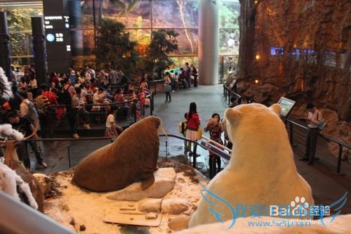 假期旅游之带儿童游览上海科技馆