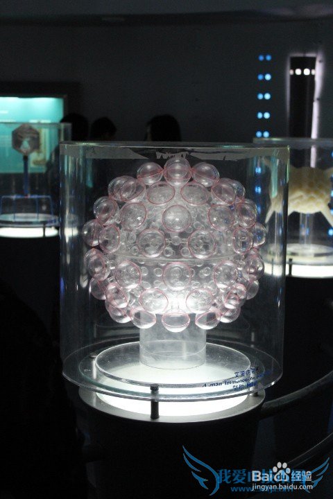 假期旅游之带儿童游览上海科技馆