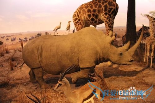 假期旅游之带儿童游览上海科技馆