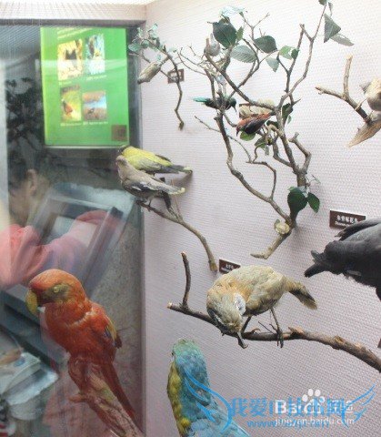 假期旅游之带儿童游览上海科技馆