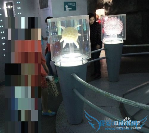 假期旅游之带儿童游览上海科技馆