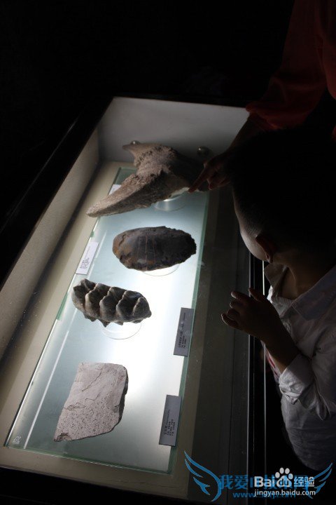 假期旅游之带儿童游览上海科技馆