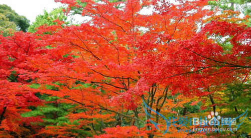 北京旅游全攻略