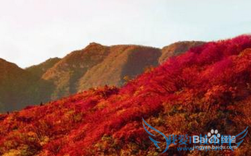 北京旅游全攻略