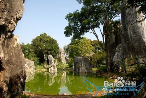 冬天云南旅游攻略