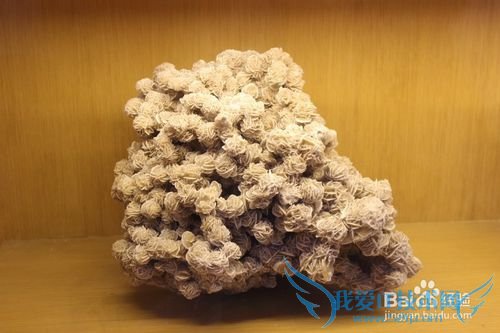 ¼ÙÆÚÂÃÓÎÖ®ÉϺ£¶«·½µØÖÊ¿ÆÆÕ¹Ý