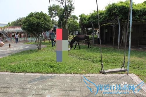 ¼ÙÆÚÂÃÓÎÖ®ÉϺ£¶«·½µØÖÊ¿ÆÆÕ¹Ý