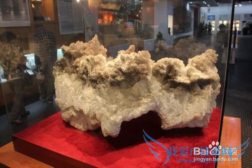 ¼ÙÆÚÂÃÓÎÖ®ÉϺ£¶«·½µØÖÊ¿ÆÆÕ¹Ý