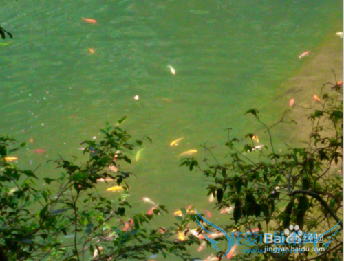 马峦山游玩攻略?