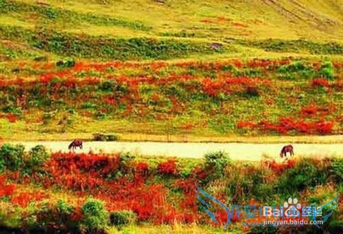 米亚罗旅游攻略