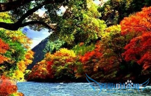 米亚罗旅游攻略