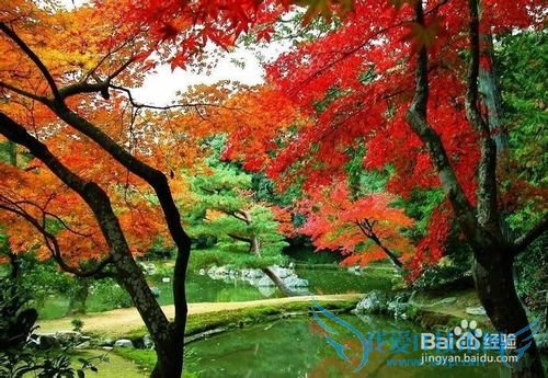 米亚罗旅游攻略