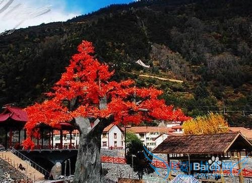 米亚罗旅游攻略