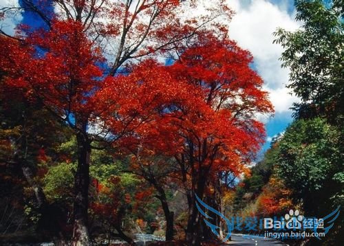 米亚罗旅游攻略