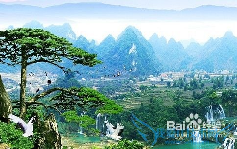 11ÔÂÊʺÏÈ¥ÄÄÂÃÓÎ