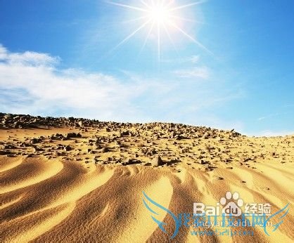 11ÔÂÊʺÏÈ¥ÄÄÂÃÓÎ