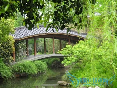 怎样把握去杭州的最佳旅游时间