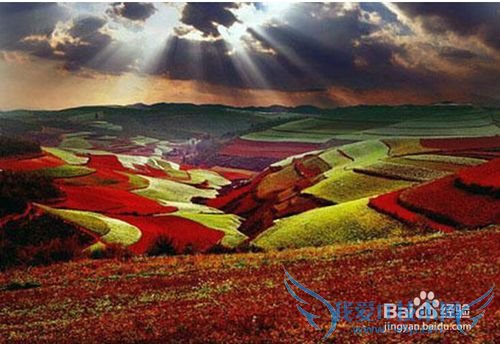 云南春季旅游攻略 云南春天旅游景点