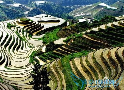 云南春季旅游攻略 云南春天旅游景点