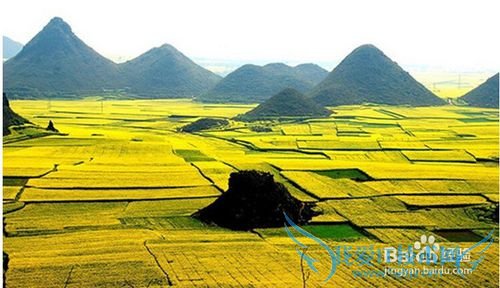 云南春季旅游攻略 云南春天旅游景点