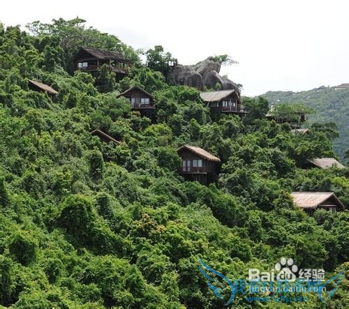 2013年元旦适合去哪旅游