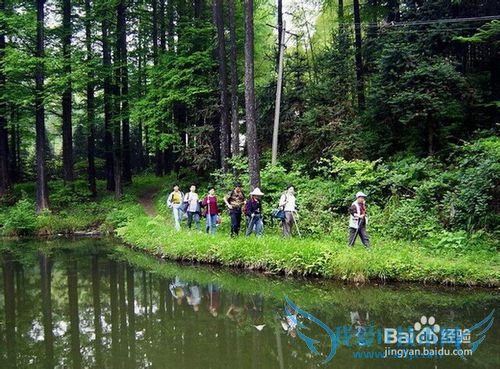 节日出行,野外旅游如何应付意外
