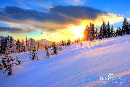 春节去哪里旅游比较好