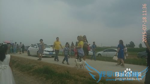 去呼市薰衣草庄园旅游攻略