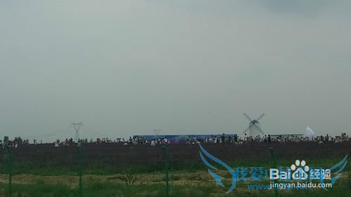 去呼市薰衣草庄园旅游攻略