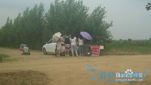 去呼市薰衣草庄园旅游攻略