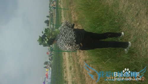 去呼市薰衣草庄园旅游攻略