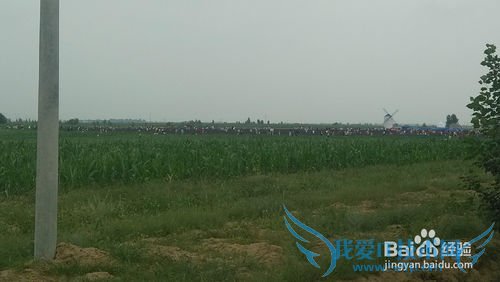 去呼市薰衣草庄园旅游攻略