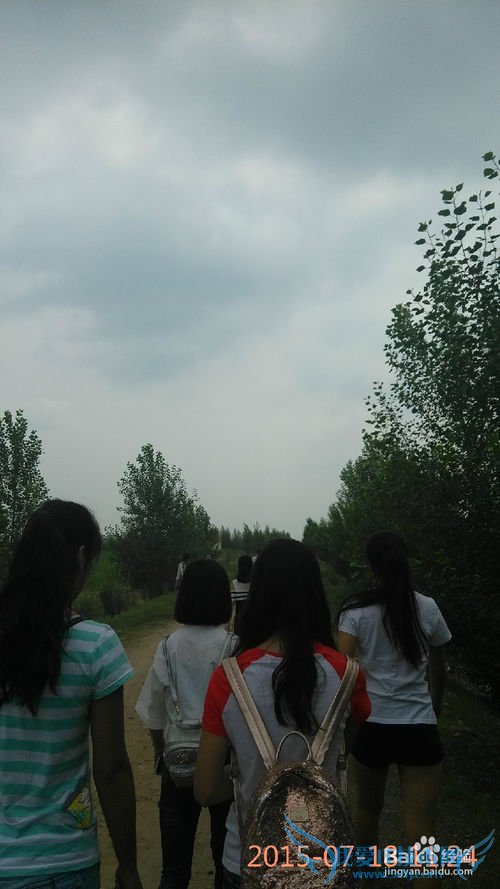 去呼市薰衣草庄园旅游攻略