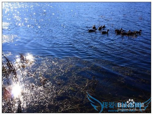 丽江旅游1-12月份天气和穿衣服