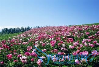 丽江旅游1-12月份天气和穿衣服