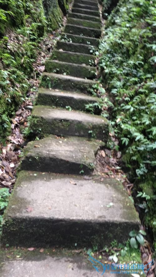 资源天门山一日游旅游攻略