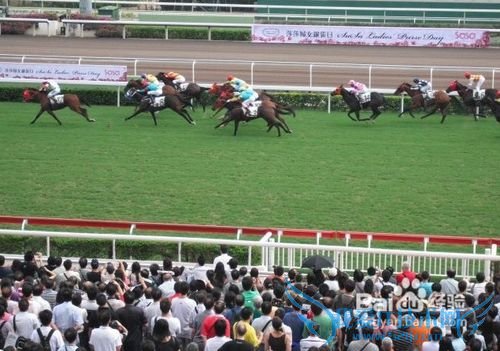 香港旅游娱乐地点推荐