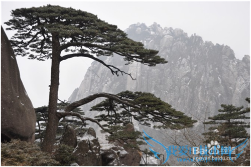 黄山旅游经验分享(从南京出发)
