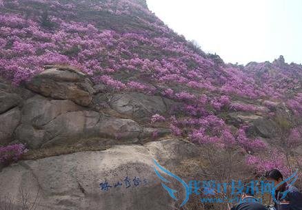 十一青岛旅游攻略