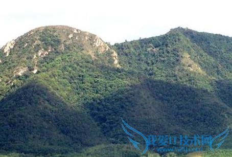 十一青岛旅游攻略