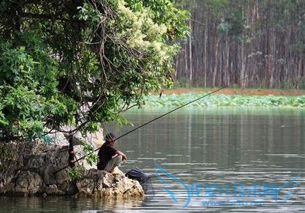 十一青岛旅游攻略