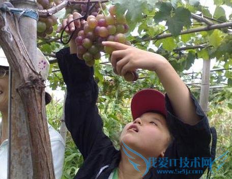 十一青岛旅游攻略