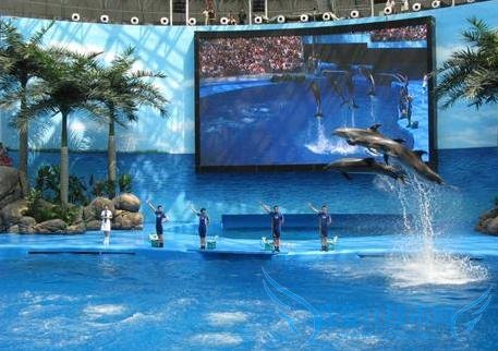 十一青岛旅游攻略