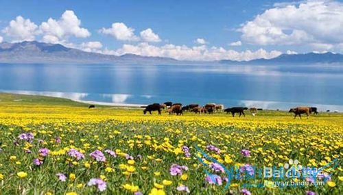 想旅游但是讨厌人山人海怎么办?