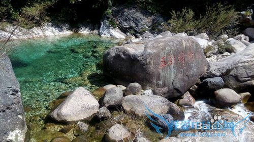 去黄山旅游攻略