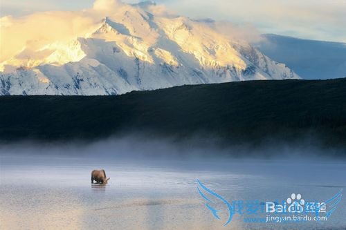 美国旅游景点介绍-阿拉斯加